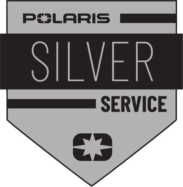 Silver MSD logo