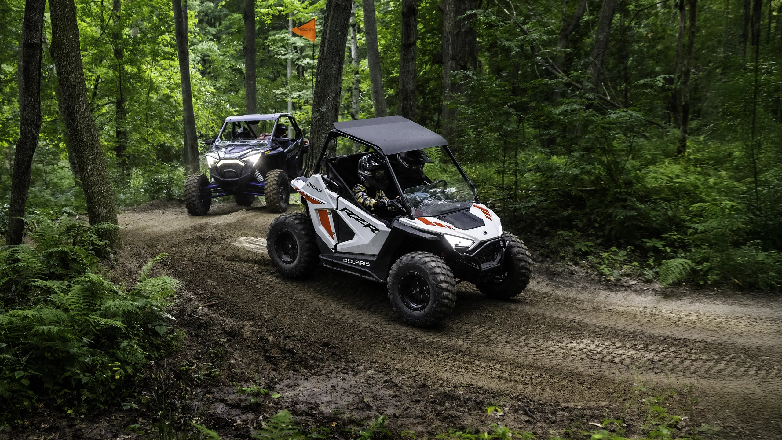 RZR 200 EFI
